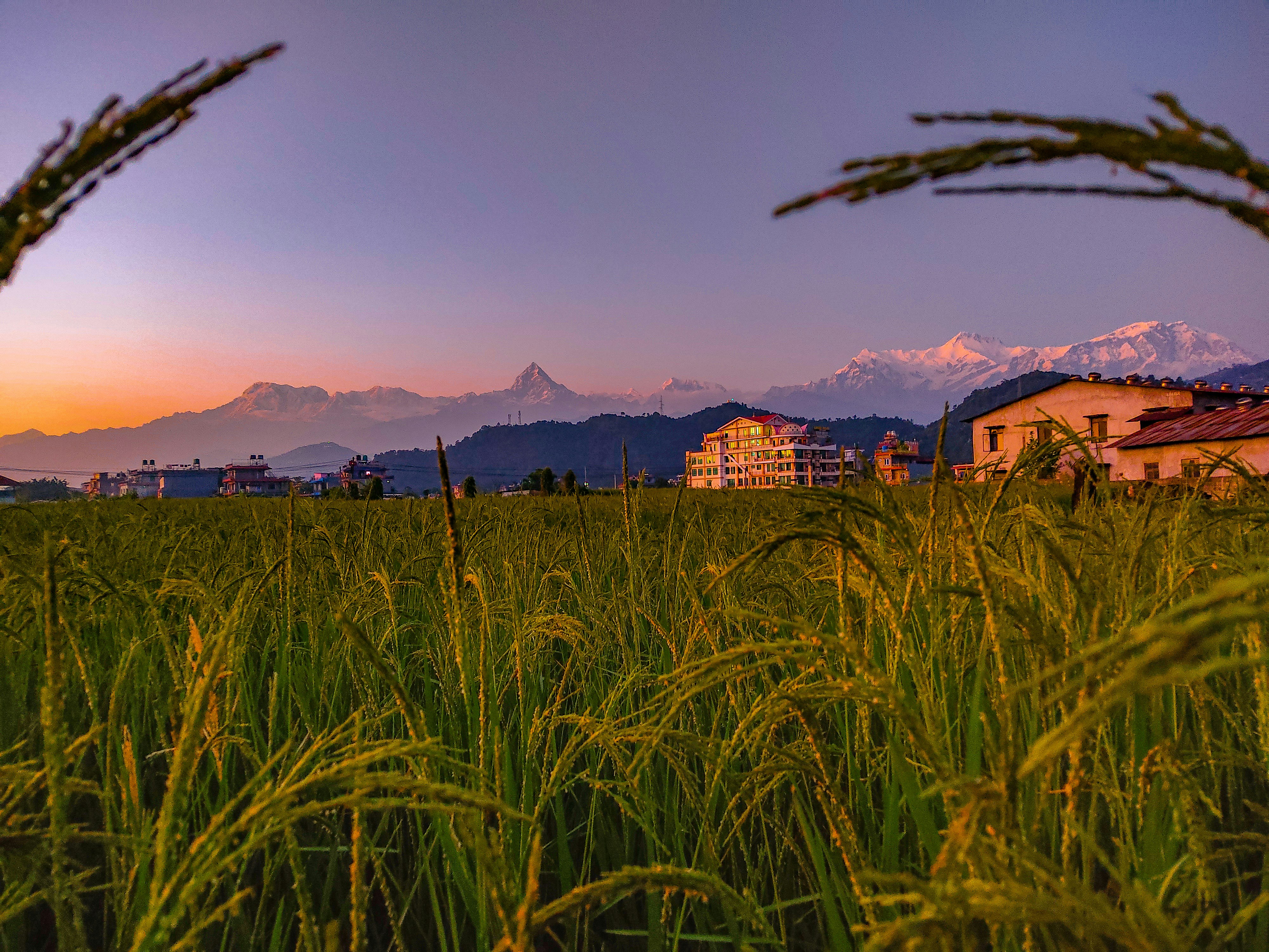 Kathmandu Pokhara Chitwan Tour