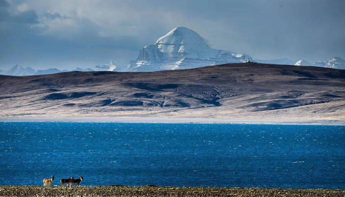 Kailash Manasarovar Tour