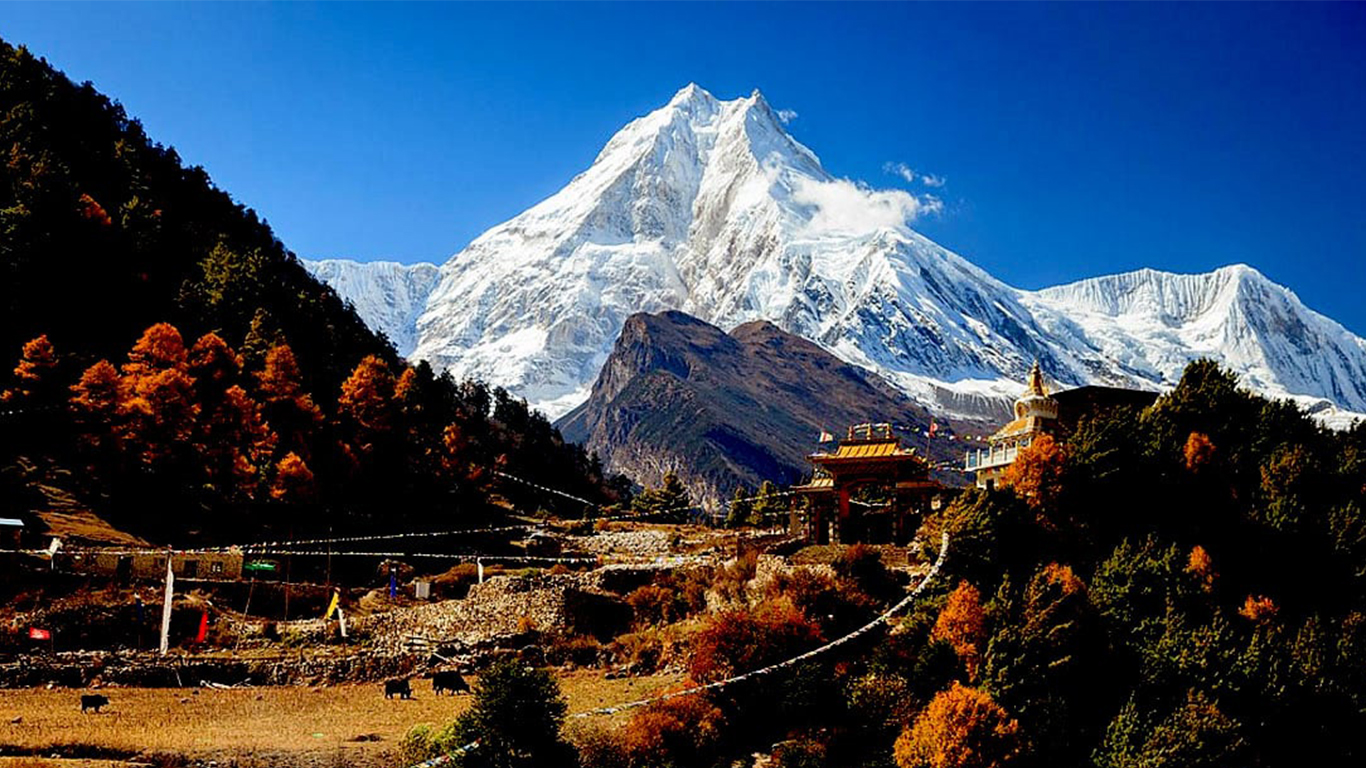 Manaslu Larke Pass Trek 17 Days
